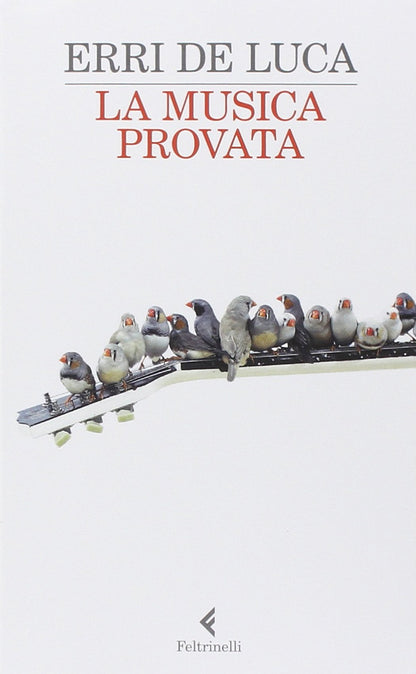LA MUSICA PROVATA