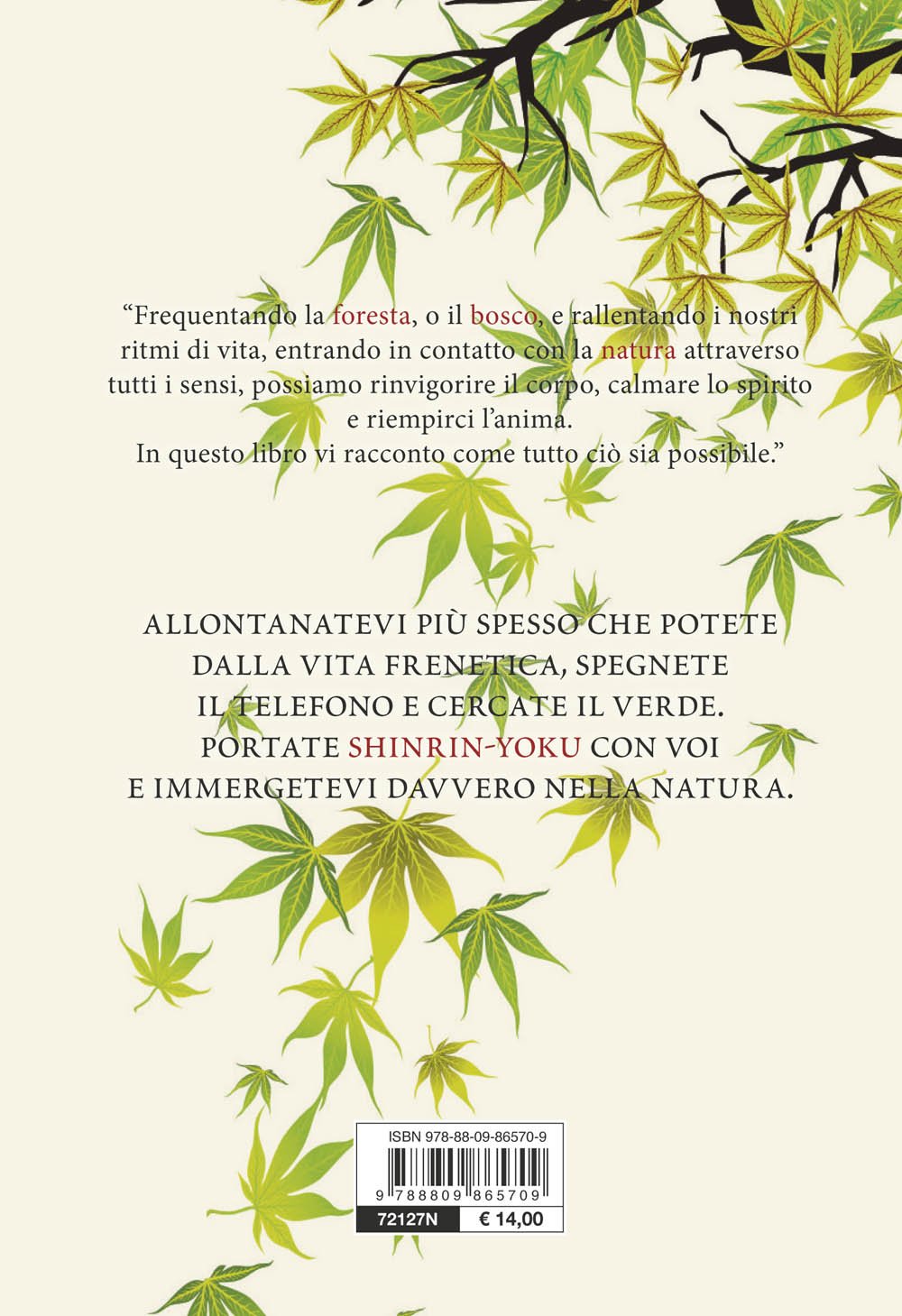 SHINRIN YOKU. RITROVARE IL BENESSERE CON L'ARTE GIAPPONESE DEL BAGNO NELLA FORESTA