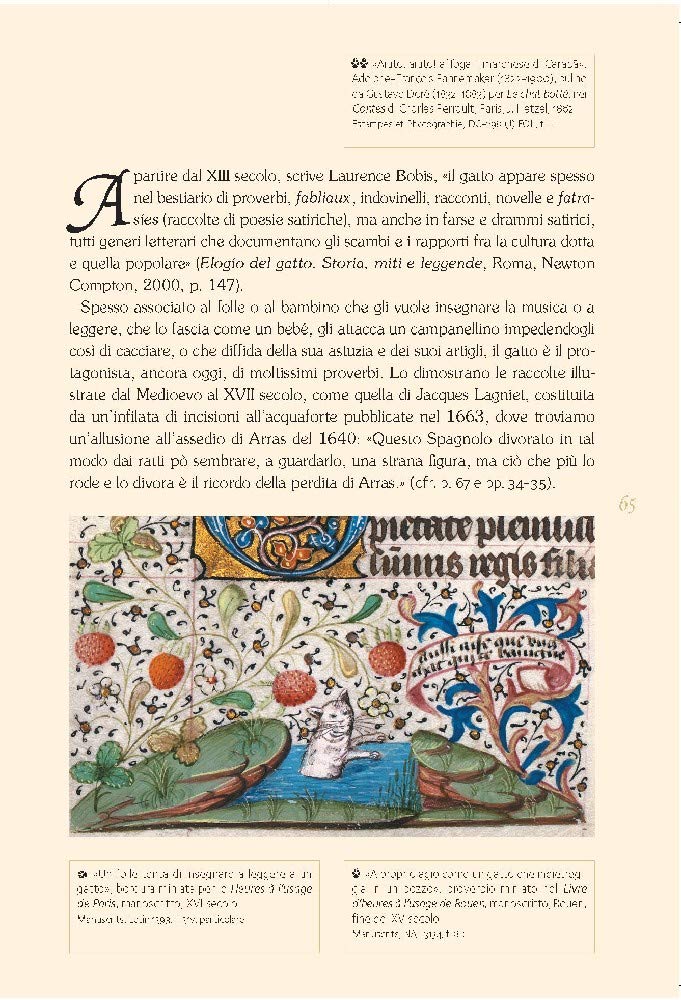 GATTI DI BIBLIOTECA. EDIZ. ILLUSTRATA