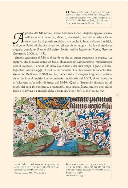 GATTI DI BIBLIOTECA. EDIZ. ILLUSTRATA