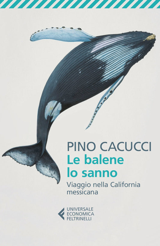 BALENE LO SANNO. Viaggio nella California messicana.