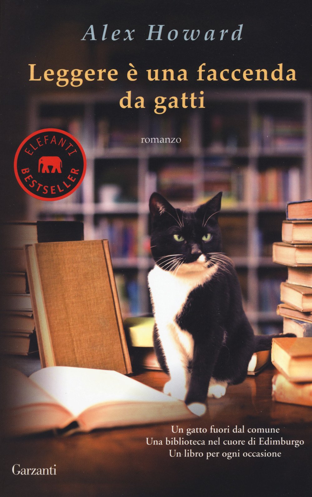 LEGGERE E UNA FACCENDA DA GATTI