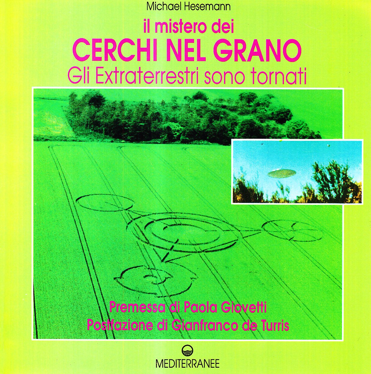 IL MISTERO DEI CERCHI NEL GRANO