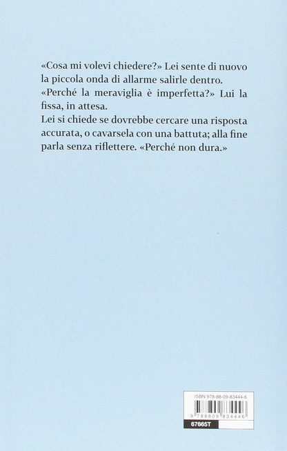L'IMPERFETTA MERAVIGLIA