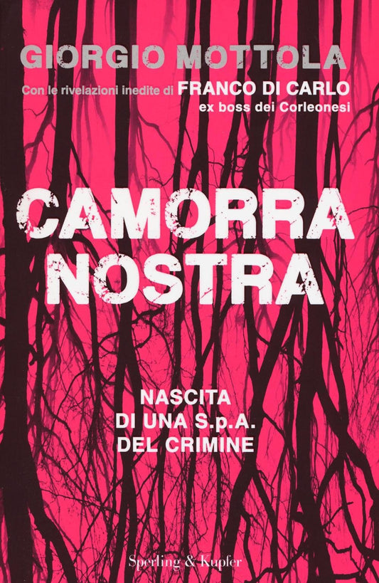 CAMORRA NOSTRA. NASCITA DI UNA S.P.A. DEL CRIMINE