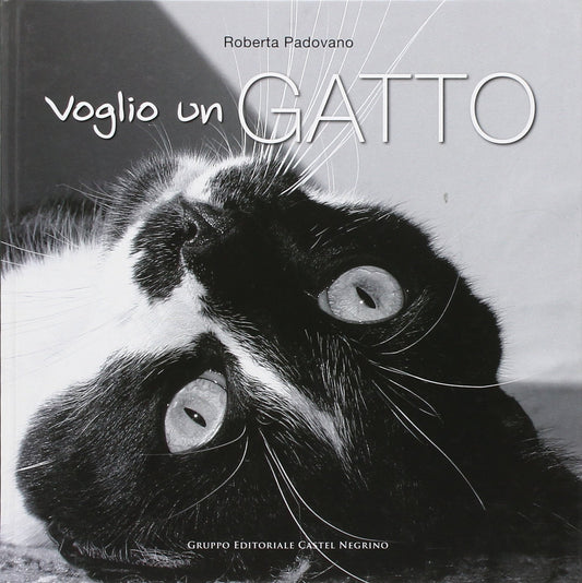 VOGLIO UN GATTO