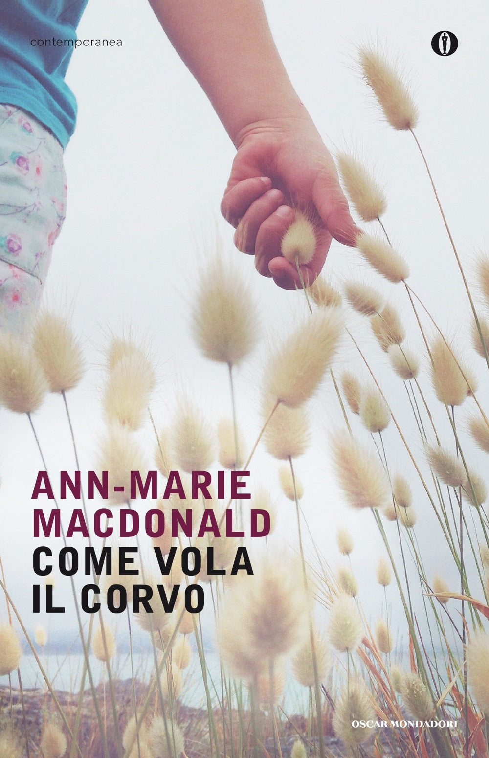 COME VOLA IL CORVO