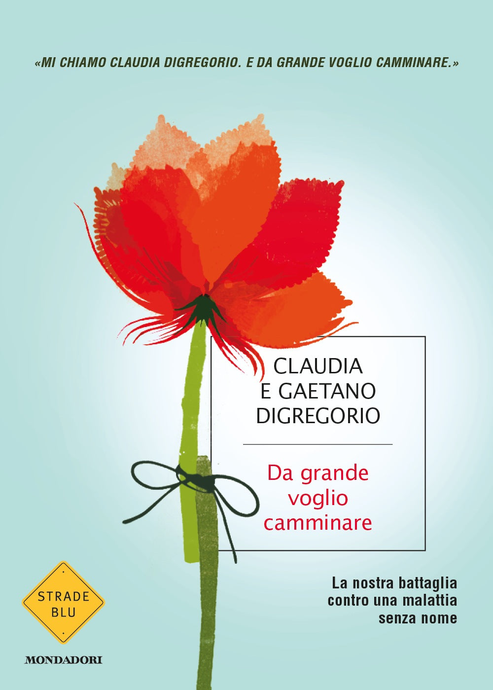 DA GRANDE VOGLIO CAMMINARE