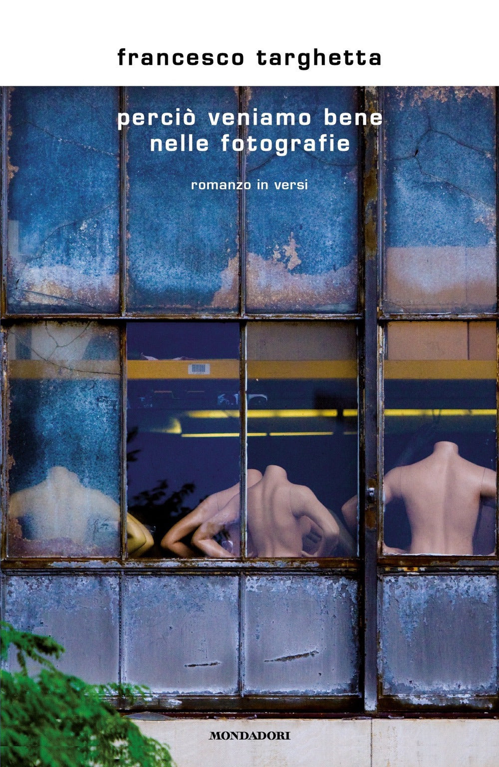 PERCIÒ VENIAMO BENE NELLE FOTOGRAFIE. NUOVA EDIZ.