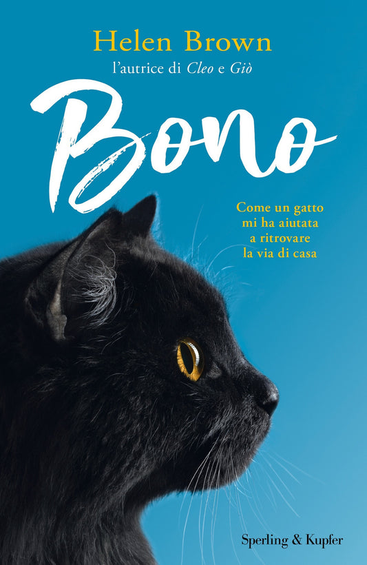 BONO. COME UN GATTO MI HA AIUTATA A RITROVARE LA VIA DI CASA