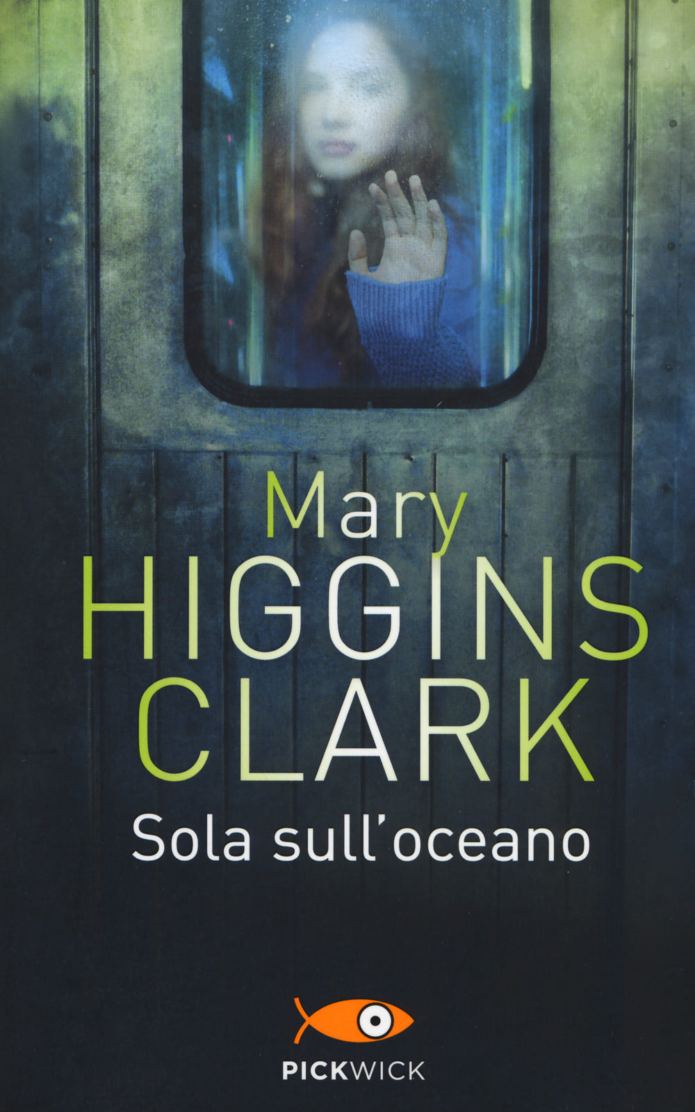 SOLA SULL'OCEANO