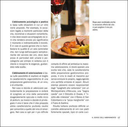 Manuale degli abbinamenti. armonie del gusto, ideali contrasti fra vino e cibo