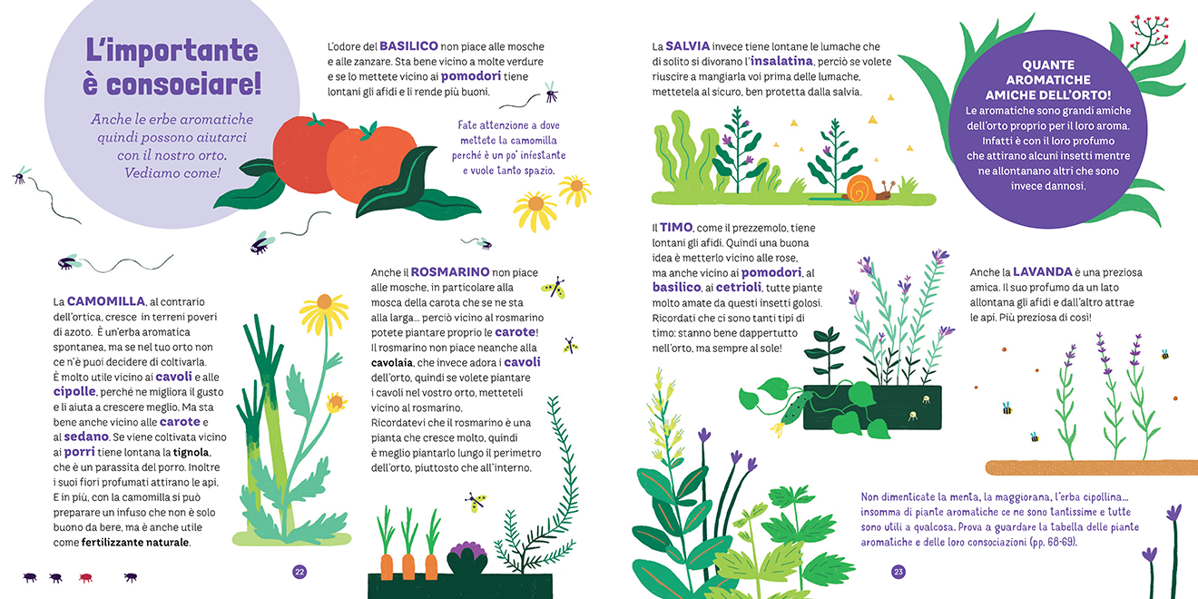 AMICIZIE NELL'ORTO. PER COLTIVARE IN ARMONIA CON L'AMBIENTE