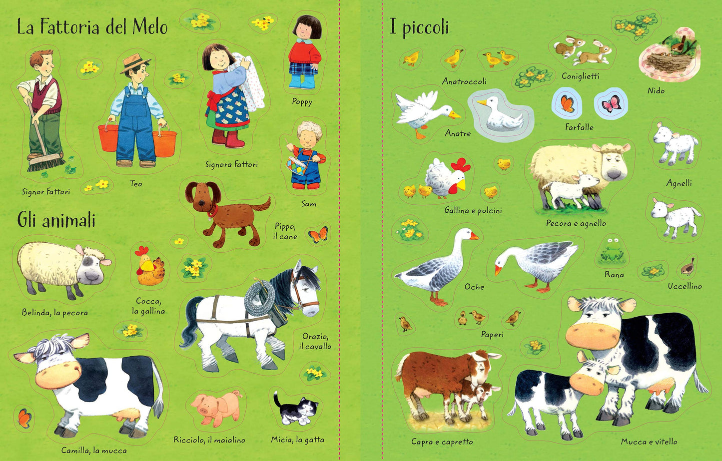 ANIMALI. POPPY E SAM. CON ADESIVI. EDIZ. A COLORI