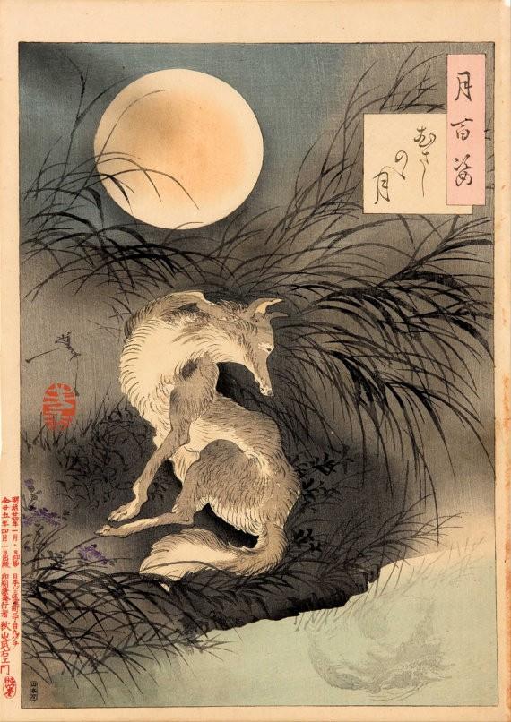 LE CENTO LUNE. EDIZ. A COLORI