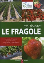 COLTIVARE LE FRAGOLE