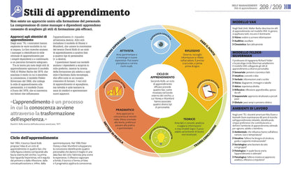 COME FUNZIONA IL MANAGEMENT. I FATTI SPIEGATI VISIVAMENTE. EDIZ. ILLUSTRATA