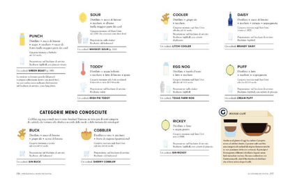 COCKTAIL. MANUALE PER ASPIRANTI INTENDITORI