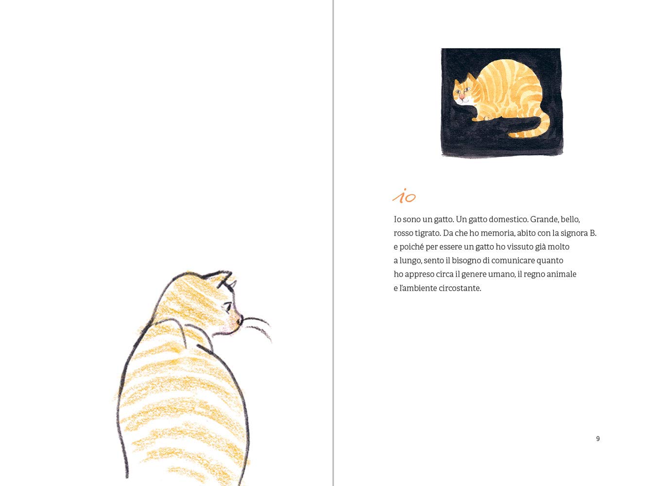 OPINIONI DI UN GATTO