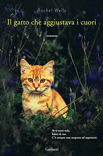 IL GATTO CHE AGGIUSTAVA I CUORI