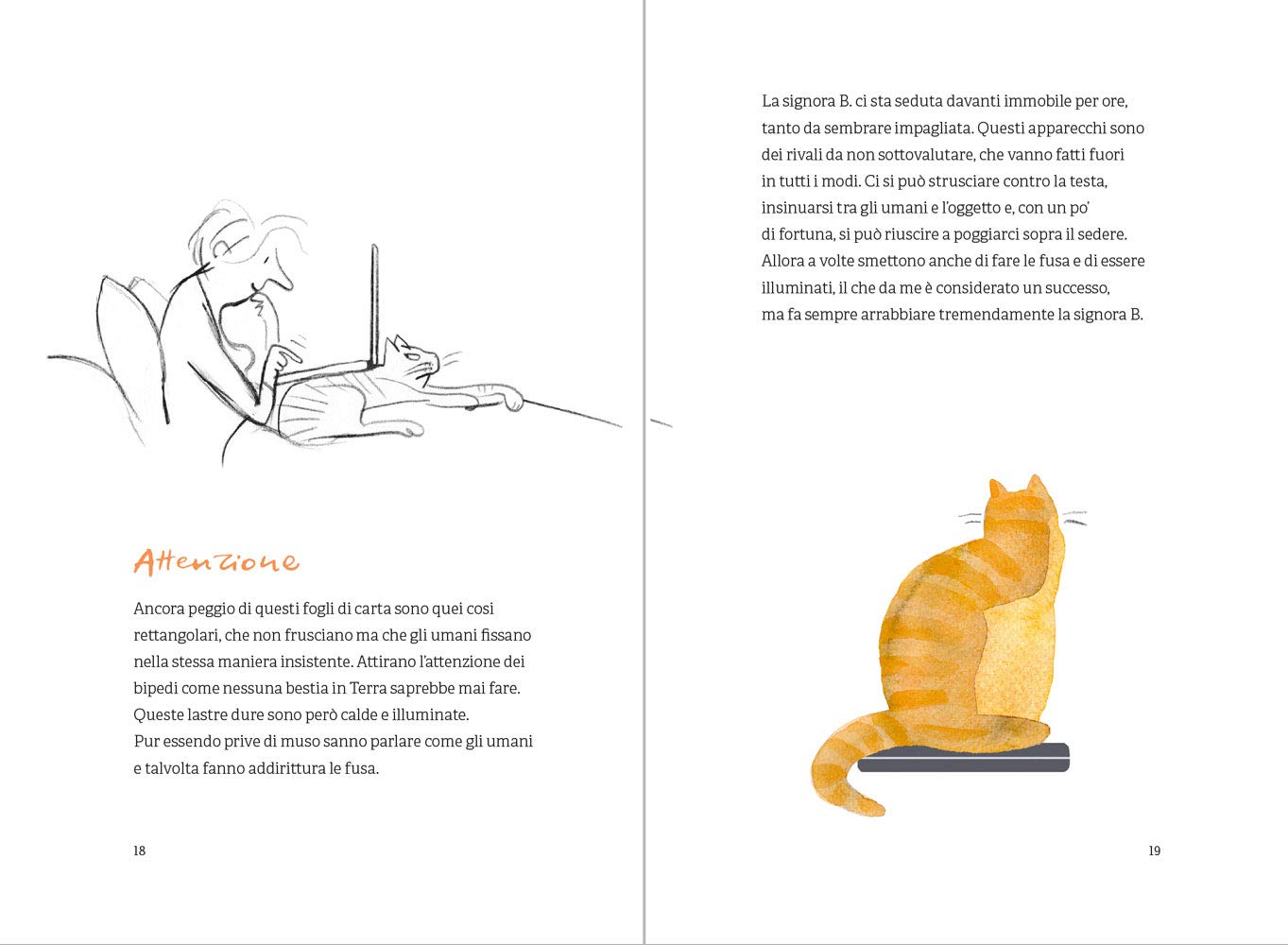 OPINIONI DI UN GATTO