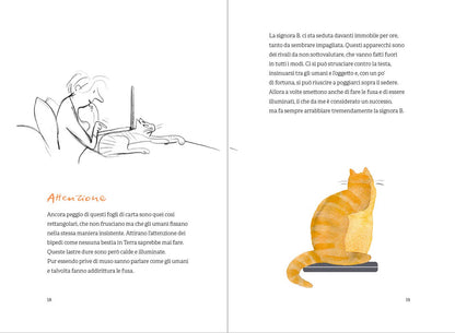 OPINIONI DI UN GATTO