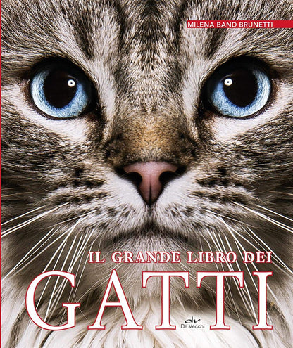 IL GRANDE LIBRO DEI GATTI