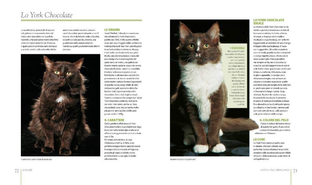 IL GRANDE LIBRO DEI GATTI
