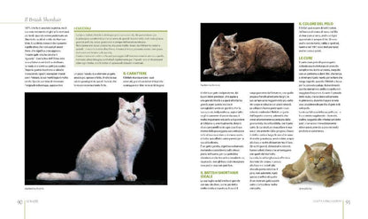 IL GRANDE LIBRO DEI GATTI