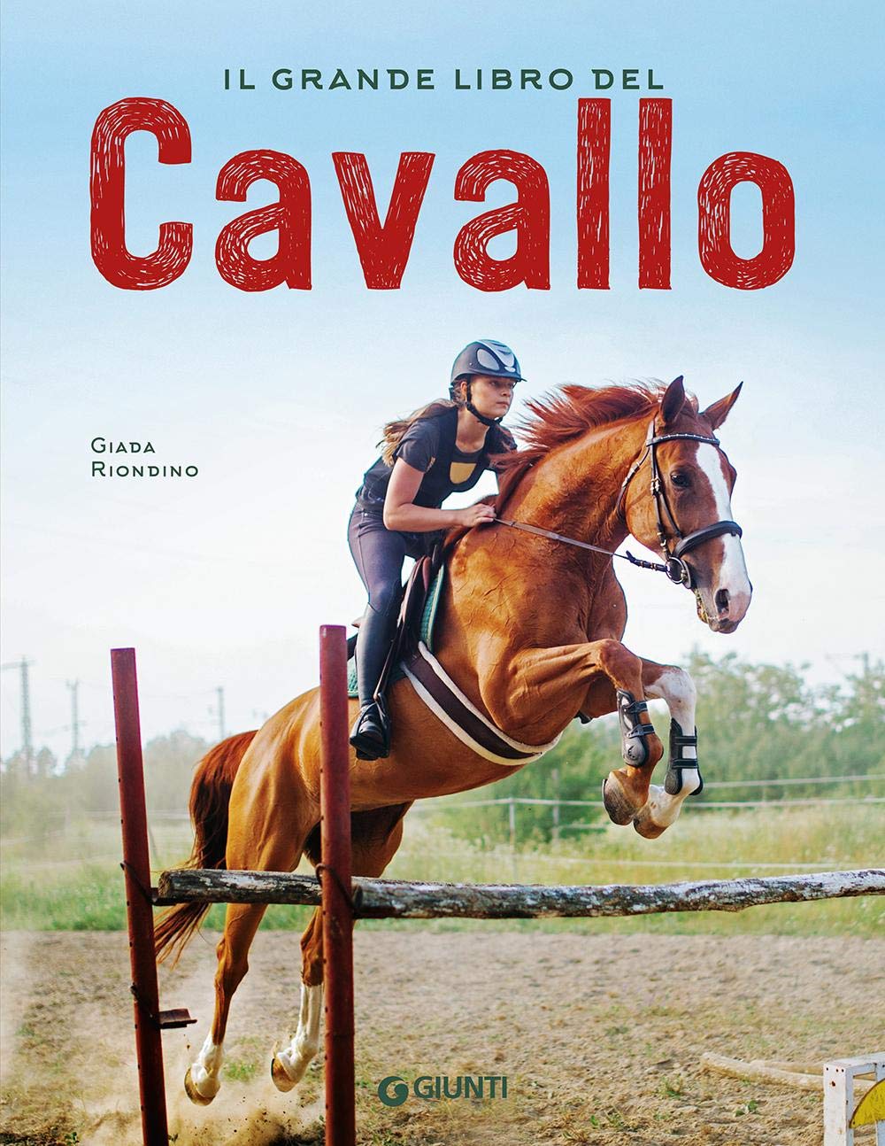 IL GRANDE LIBRO DEL CAVALLO. NUOVA EDIZ.