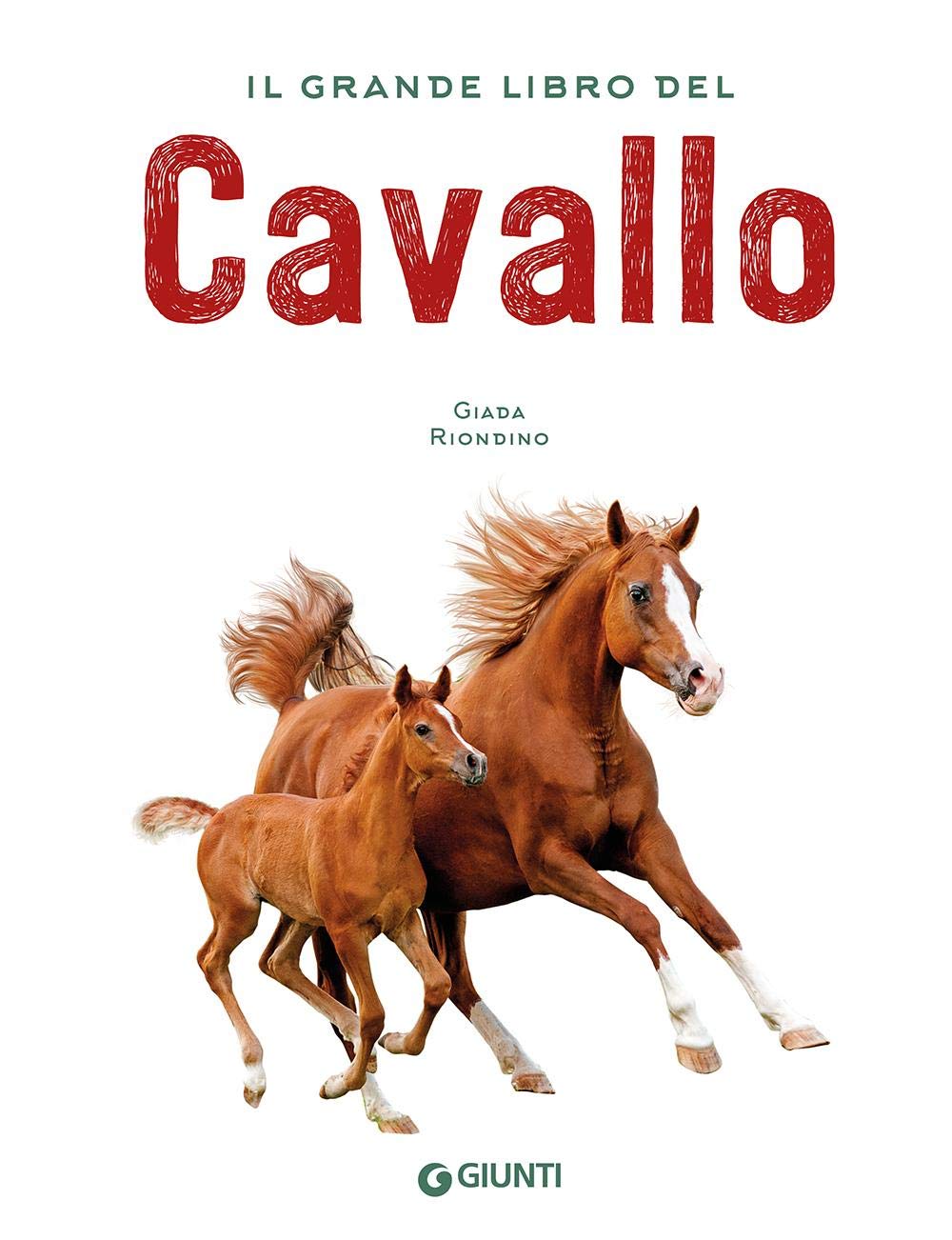 IL GRANDE LIBRO DEL CAVALLO. NUOVA EDIZ.
