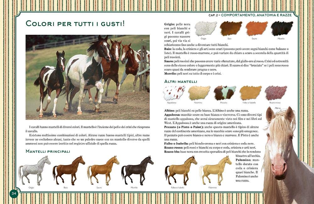 IL GRANDE LIBRO DEL CAVALLO. NUOVA EDIZ.