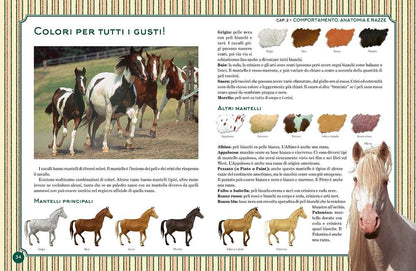 IL GRANDE LIBRO DEL CAVALLO. NUOVA EDIZ.
