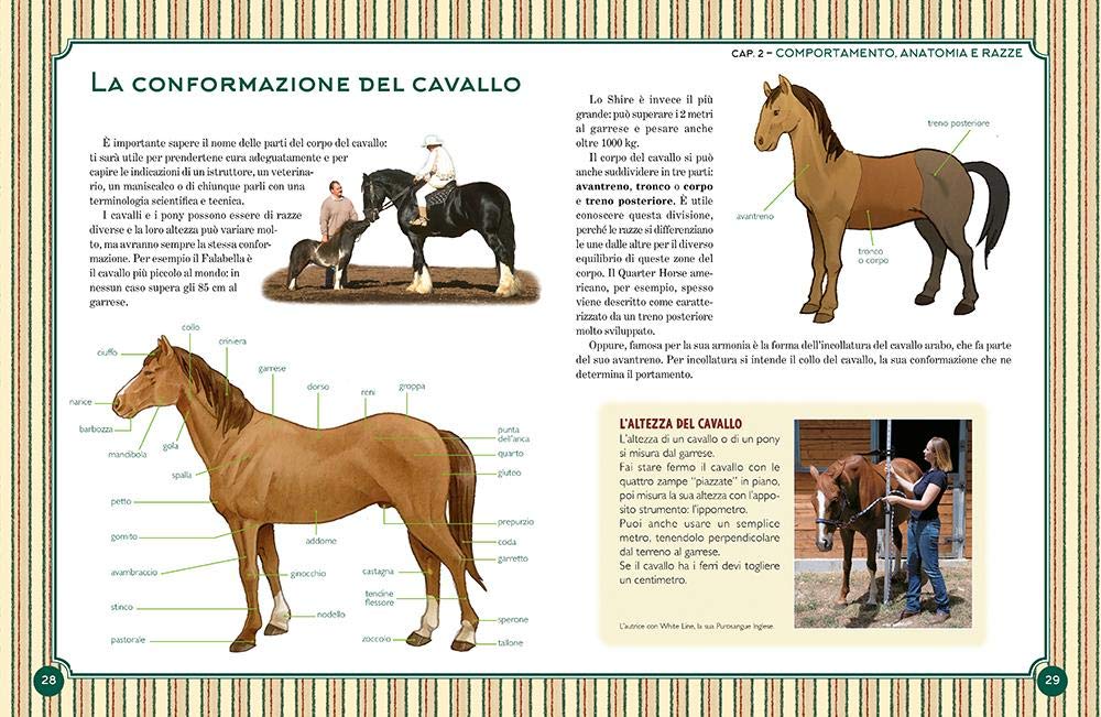 IL GRANDE LIBRO DEL CAVALLO. NUOVA EDIZ.