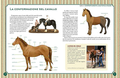 IL GRANDE LIBRO DEL CAVALLO. NUOVA EDIZ.