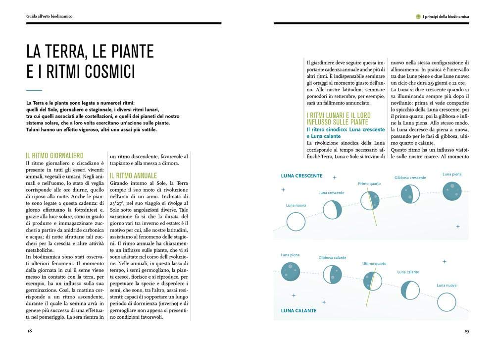 GUIDA ALLL'ORTO BIODINAMICO. SEMINARE, COLTIVARE, VIVERE LA TERRA