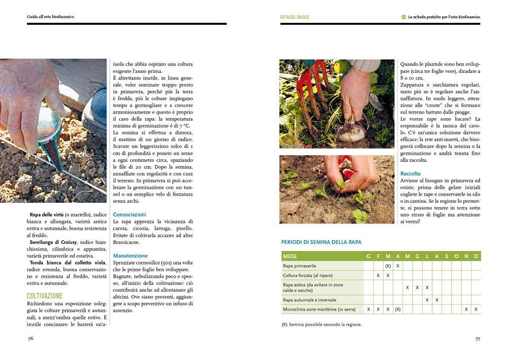 GUIDA ALLL'ORTO BIODINAMICO. SEMINARE, COLTIVARE, VIVERE LA TERRA