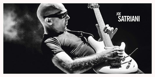 THE GUITAR COLLECTION. CON MP3 SCARICABILE ONLINE. CON DISCO IN VINILE. EDIZ. INGLESE E TEDESCA