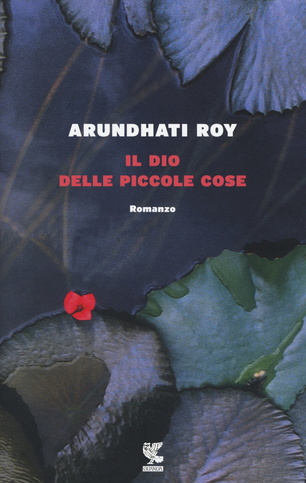 IL DIO DELLE PICCOLE COSE