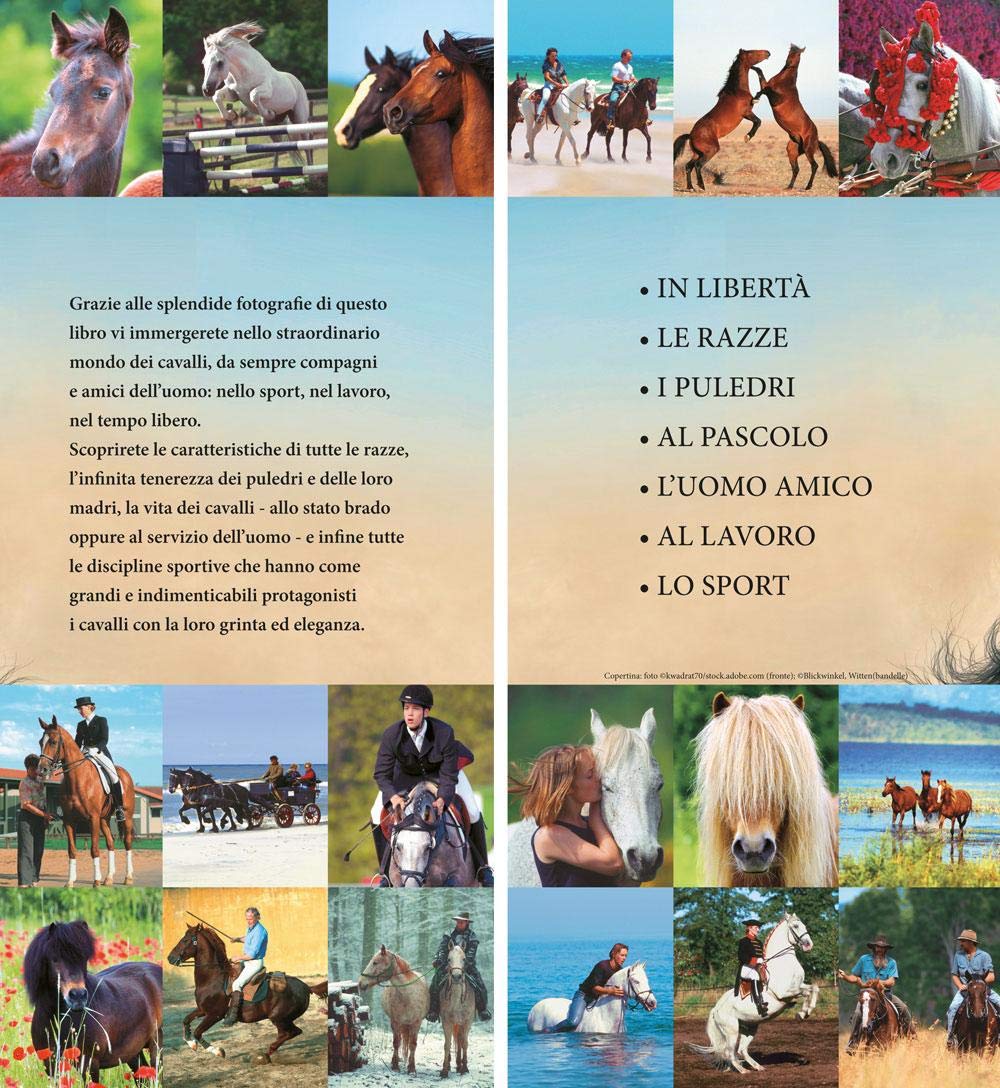 IL LIBRO DEI CAVALLI