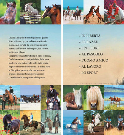 IL LIBRO DEI CAVALLI