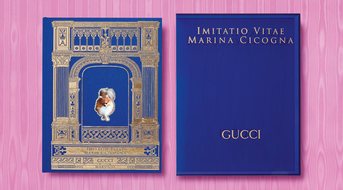 IMITATIO VITAE. EDIZ. ITALIANA E INGLESE