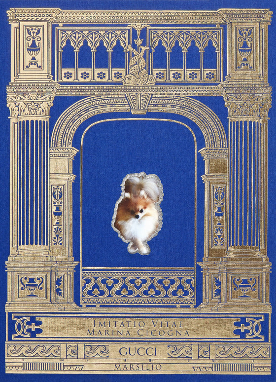 IMITATIO VITAE. EDIZ. ITALIANA E INGLESE