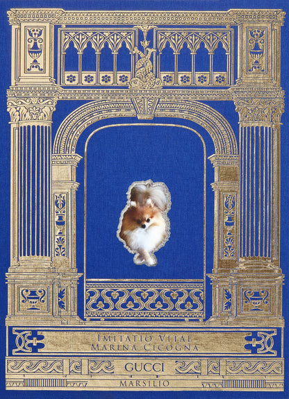 IMITATIO VITAE. EDIZ. ITALIANA E INGLESE