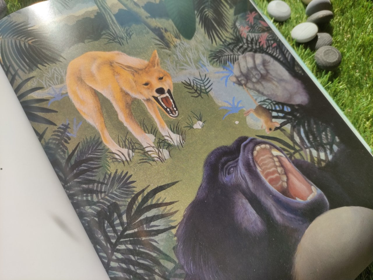 L'ISOLA DELLE OMBRE