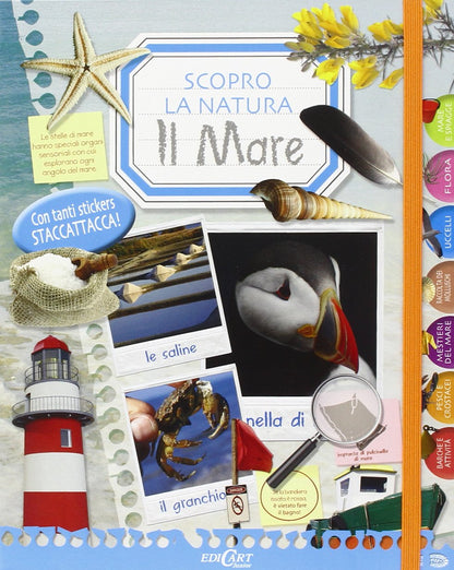 IL MARE. SCOPRO LA NATURA. CON ADESIVI. EDIZ. ILLUSTRATA