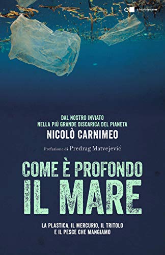COME È PROFONDO IL MARE. LA PLASTICA, IL MERCURIO, IL TRITOLO E IL PESCE CHE MANGIAMO
