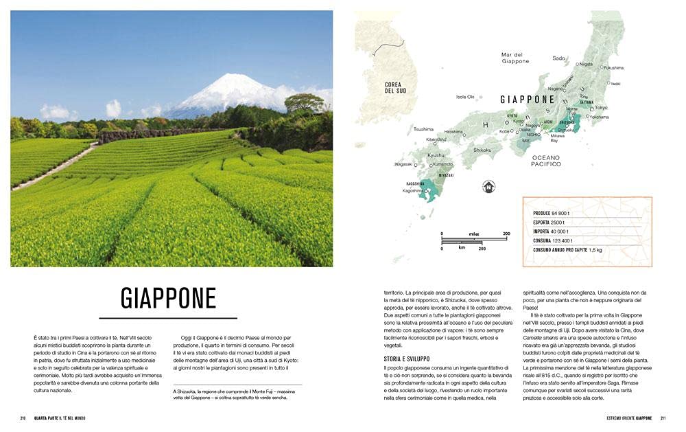 IL MONDO DEL TÈ. STORIA, PRODUZIONE, GEOGRAFIA, CULTURA