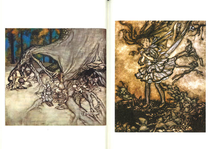 PETER PAN. EDIZ. ILLUSTRATA