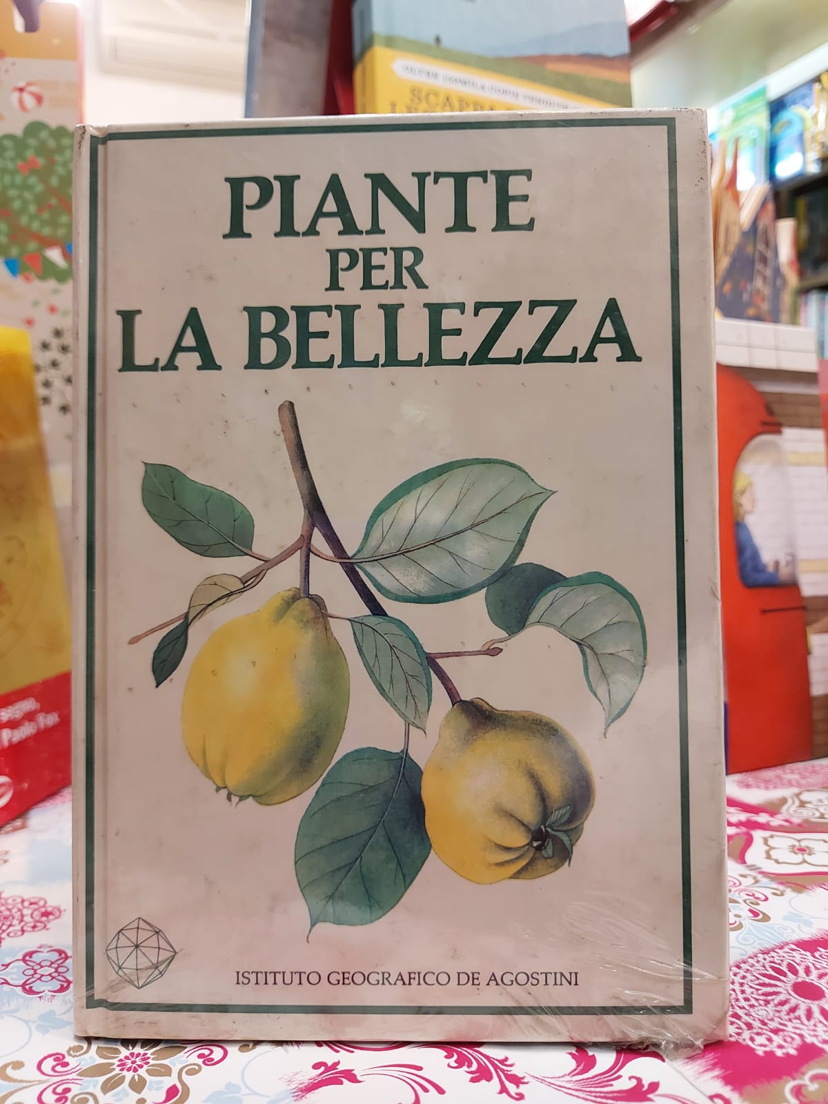PIANTE PER LA BELLEZZA
